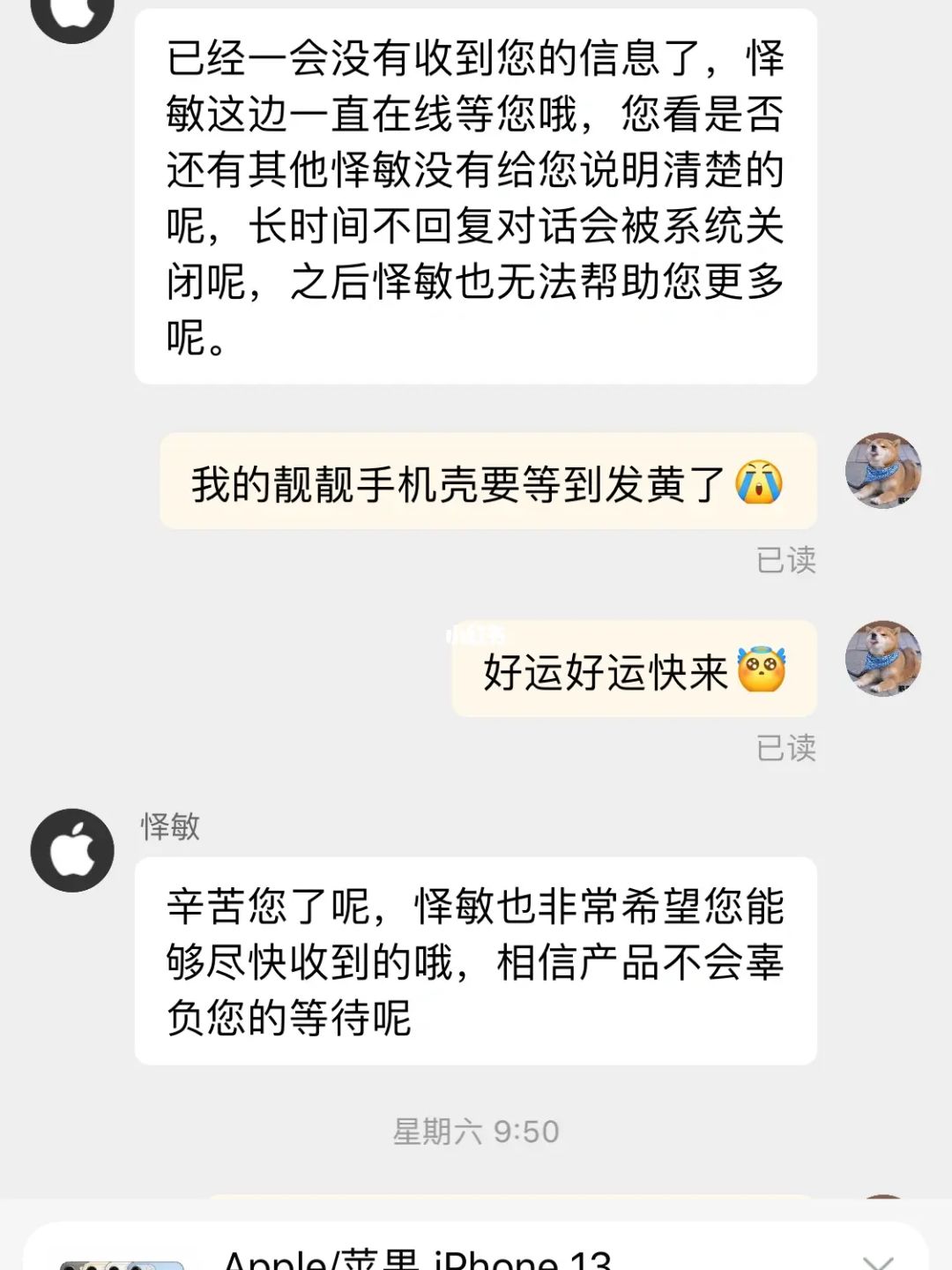 拼多多助力享免单在哪里找_哪里能买拼多多助力_拼多多助力享免单技巧