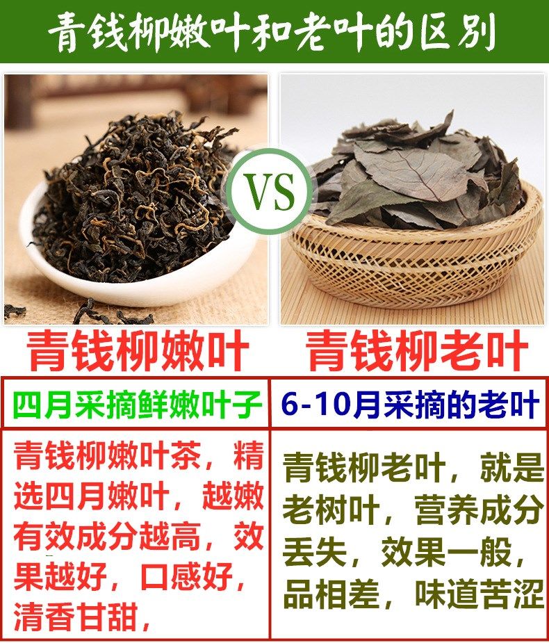 野丹参可以长期当茶喝吗_青钱柳可以长期喝吗_长期吃药可以喝绿茶吗