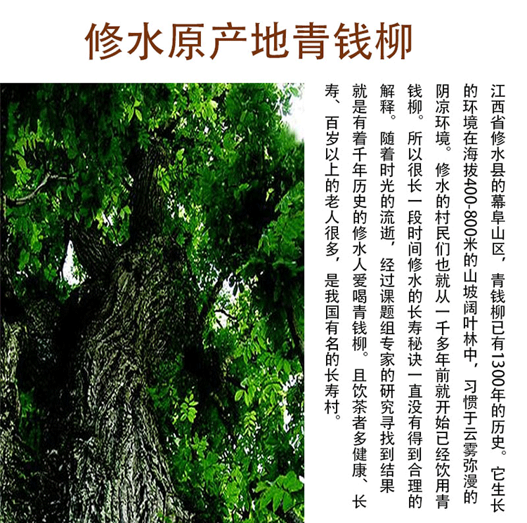 绞股蓝与山楂可以长期同喝吗_英太青可以长期吃吗_青钱柳可以长期喝吗