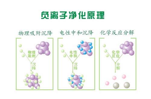 水果中有活氧负离子吗?_负离子机_南门口离坡子街有多远