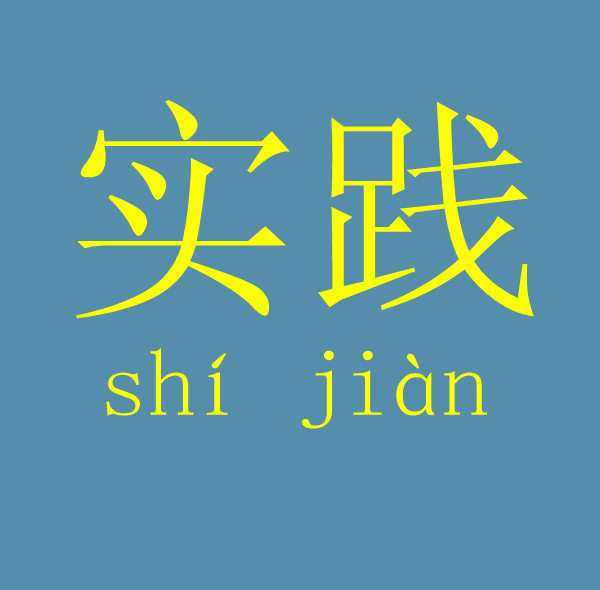 实践是社会历史的客体_社会管理创新预防和减少犯罪的上海实践_听讲座算是社会实践吗