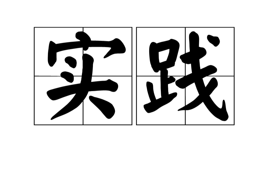 听讲座算是社会实践吗_社会管理创新预防和减少犯罪的上海实践_实践是社会历史的客体