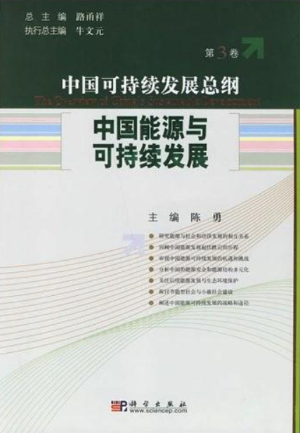 持续 发展 关系 英语_长期持续胃肠减压可引起_人类可持续发展的基础