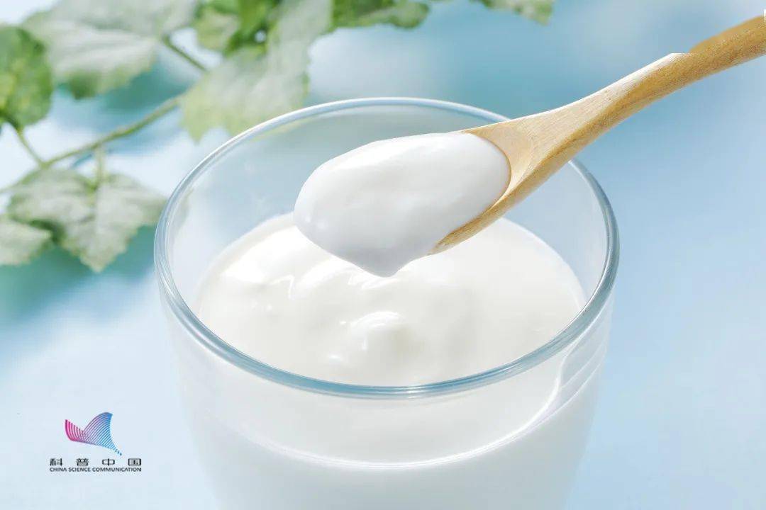配方奶粉做老酸奶比例_没酸奶机怎么做老酸奶_老酸奶和普通酸奶有什么区别