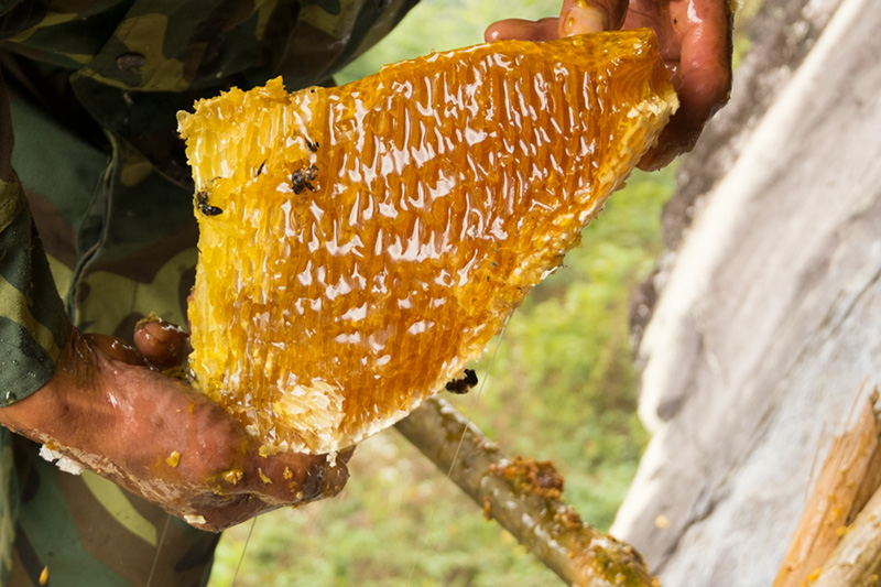 怎么把我的蜂蜜放土淘宝上买_淘宝上哪家蜂蜜是真的_淘宝上土蜂蜜是真的吗