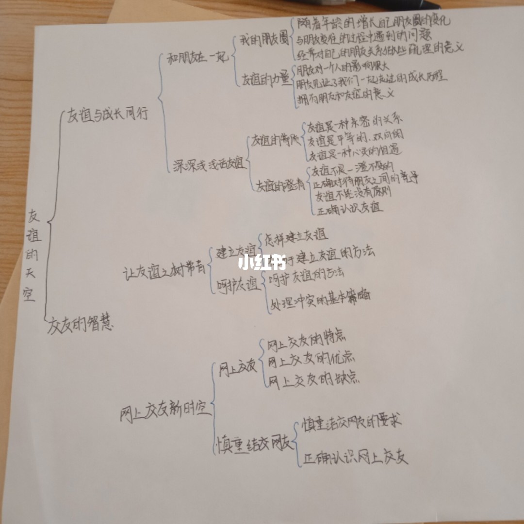 法律伴我们成长政治思维导图_部编版法律伴我们成长教案_九年级政治上册人教版思维导