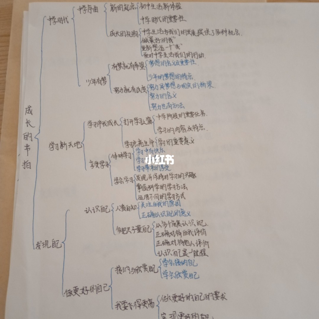 九年级政治上册人教版思维导_部编版法律伴我们成长教案_法律伴我们成长政治思维导图