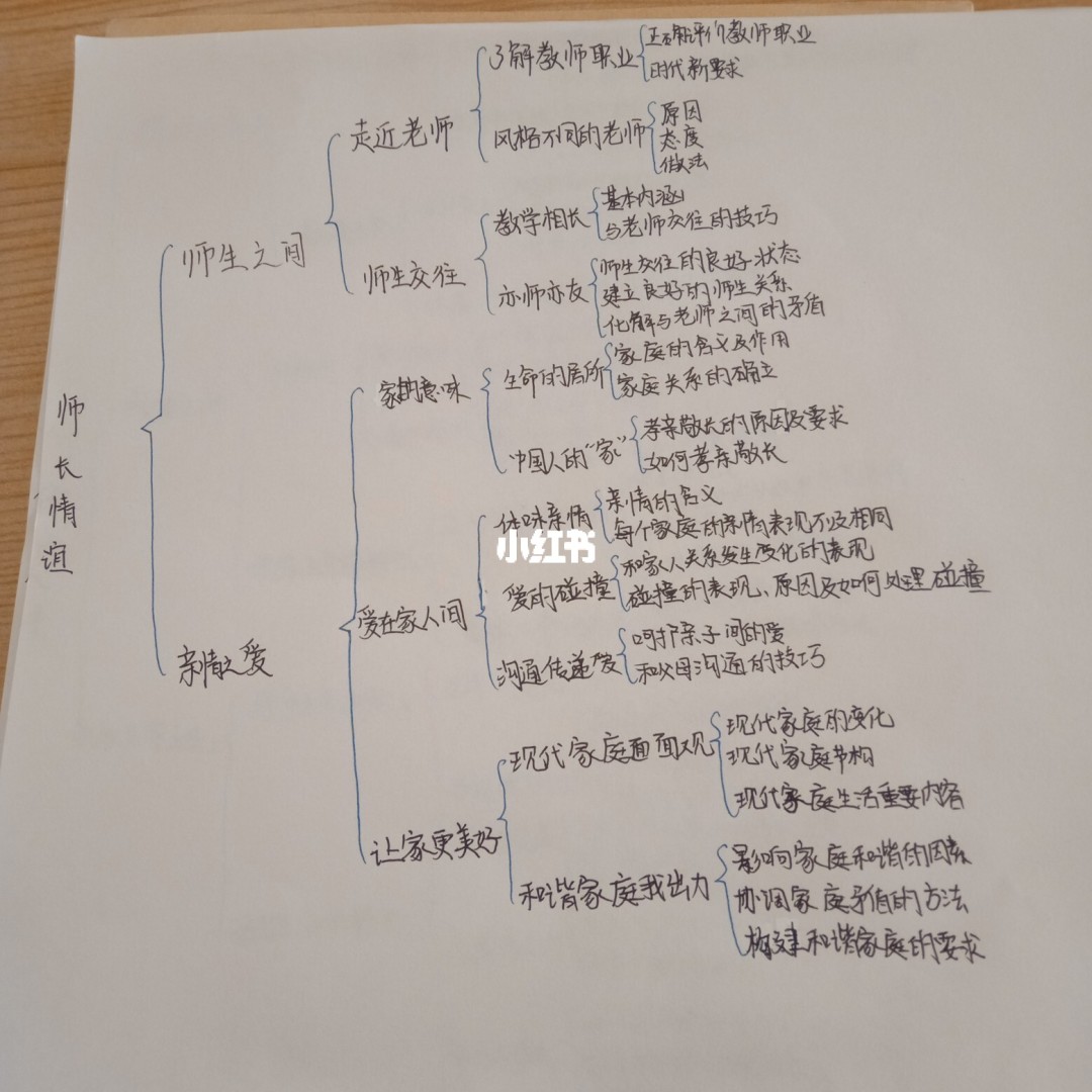 九年级政治上册人教版思维导_法律伴我们成长政治思维导图_部编版法律伴我们成长教案