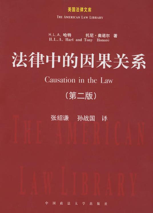 刑法上因果关系的判断标准_刑法因果关系条件说_刑法因果关系的认定