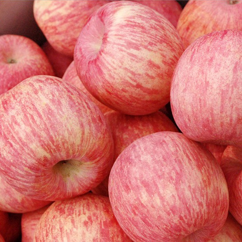 苹果什么时候吃最有营养_苹果最有营养的地方是哪里_便宜苹果和贵苹果营养