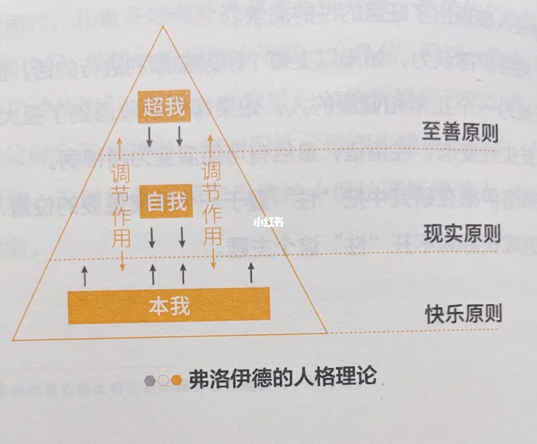 作为意志和表象世界_英语作为世界语言的_作为意识与表象的世界