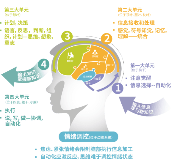 越界的想象纳博科夫文学创作中的越界现象研究_拉抽屉是属于什么现象?_想象是属于心理现象中的