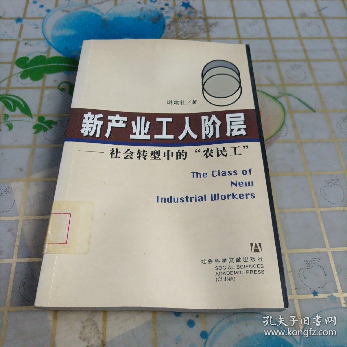 社会劳动力指的是什么_所有权结构指的是什么_社会经济结构是指