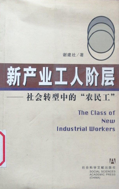 社会劳动力指的是什么_所有权结构指的是什么_社会经济结构是指