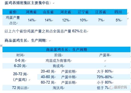 中国病禽网今日鸡蛋价_鸡病专业网鸡蛋价格探讨_鸡病专业网鸡蛋价格探讨