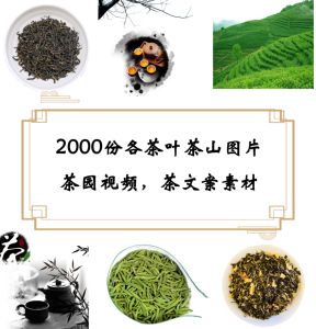 速卖通卖茶叶_单卖茶叶蛋有人要吗_一个单位有4人卖优弹素