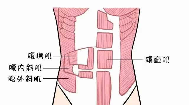 仰卧剪刀腿正确做法_用仰卧起板做仰卧_反仰卧起坐的正确做法图