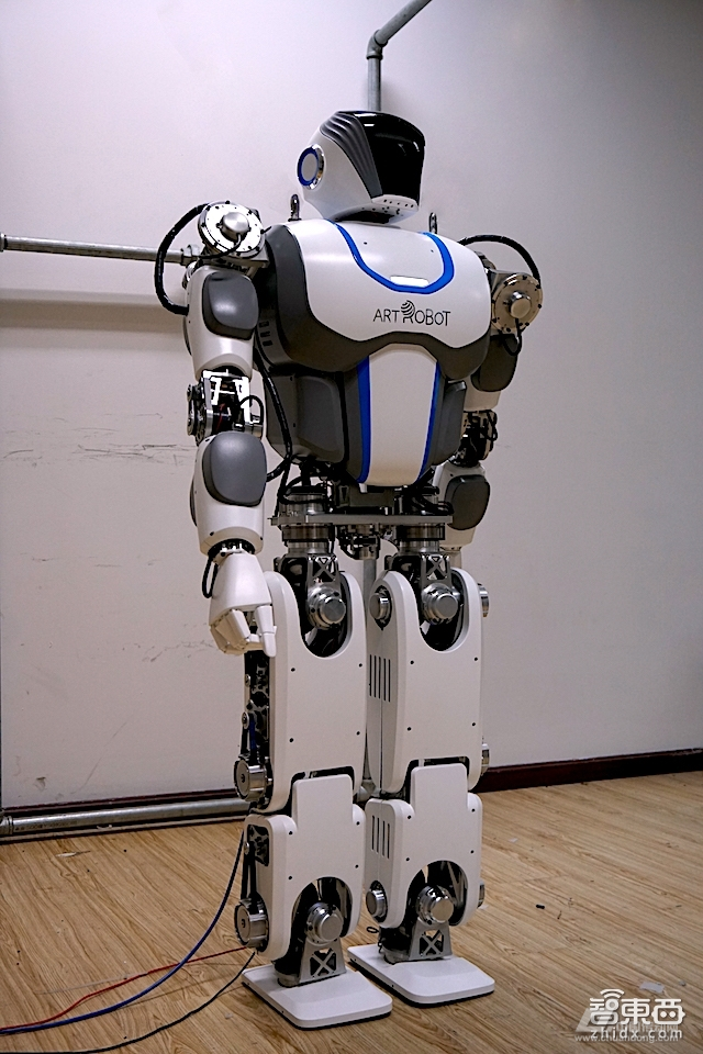 双足步行机器人运动方案设计_苍蝇是步行足吗_双足步行机器人运动方案设计
