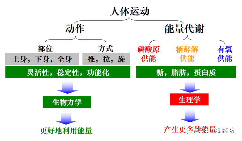 霍乱弧菌的主要致病物质是_形而上学唯物主义物质观的主要缺陷是_耐力运动中主要的供能物质是