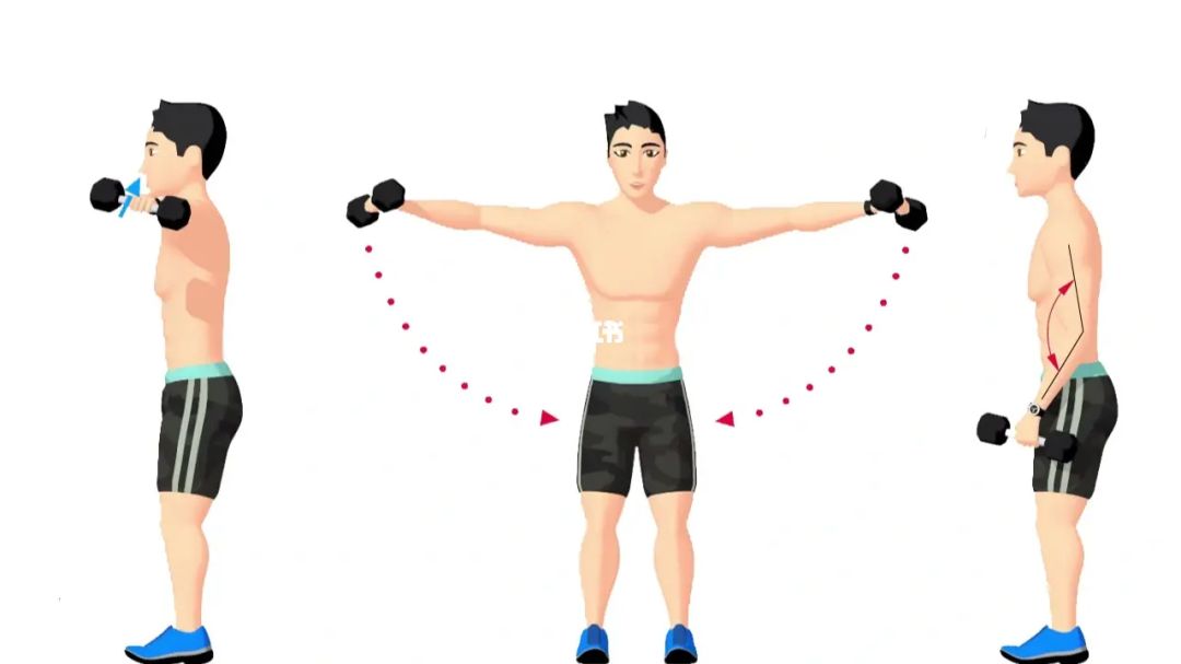 三角肌后束肌锻炼方法视频_三角后束肌训练方法_锻炼三角肌后束动作