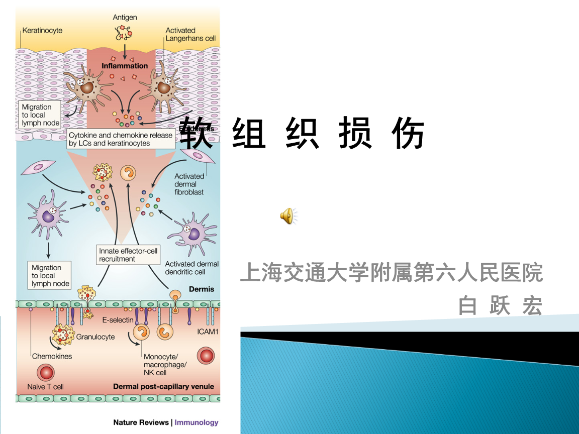 腿关节半月板损伤_软骨膜损伤_踢球小腿软组织损伤 yuqing