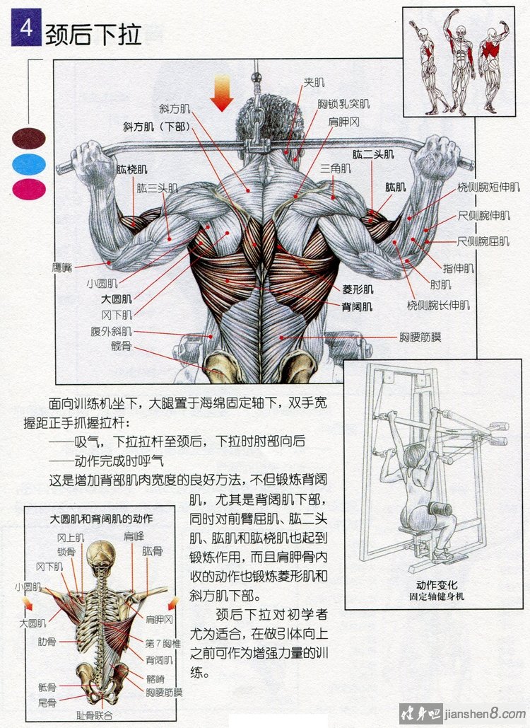 经期可以练背吗_月经期间可以练臀腿吗_背和腿可以同一天练吗