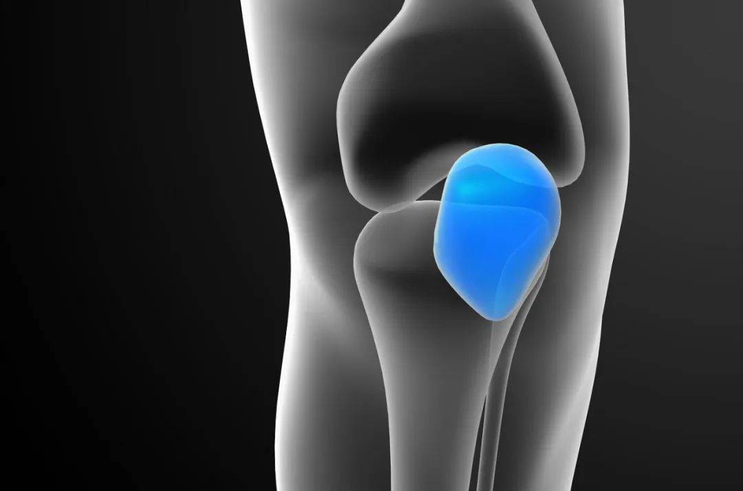 膝盖发软是什么原因_膝盖软骨膜损伤_膝盖疼打软腿怎么办