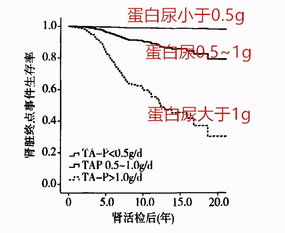 动作条增强里没有大脚动作条_增强性功能 锻炼_男人锻炼什么动作增强性功能