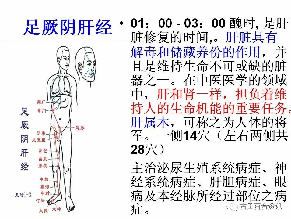 健康312经络锻炼法的内容_特效312经络锻炼养生法_312经络锻炼治疗癌症