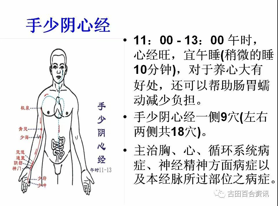 312经络锻炼治疗癌症_特效312经络锻炼养生法_健康312经络锻炼法的内容