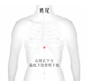 312经络锻炼真好_312经络锻炼深蹲_健康312经络锻炼法的内容