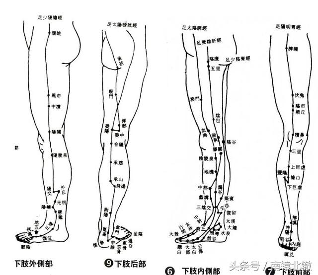 312经络锻炼深蹲_312经络锻炼真好_健康312经络锻炼法的内容