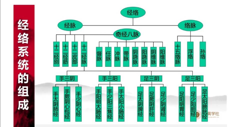 312经络锻炼真好_312经络锻炼深蹲_健康312经络锻炼法的内容