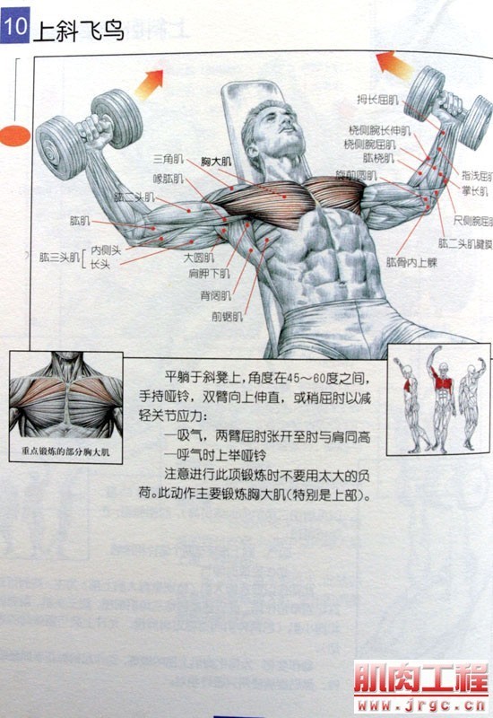 锻炼胸大肌最有效的方法_在家锻炼肌肉的方法_锻炼腿部肌肉的方法