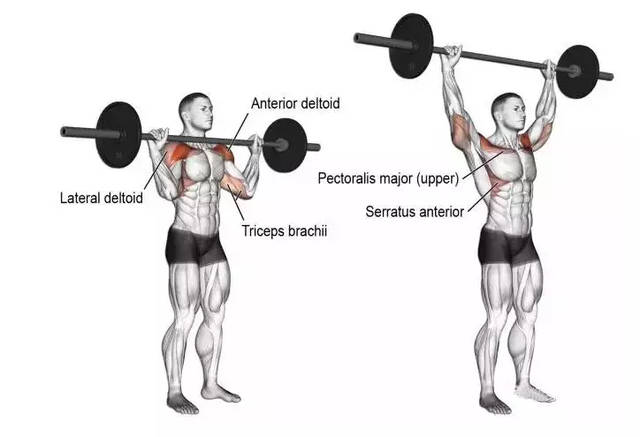 在家锻炼肌肉的方法_锻炼胸大肌最有效的方法_锻炼腿部肌肉的方法