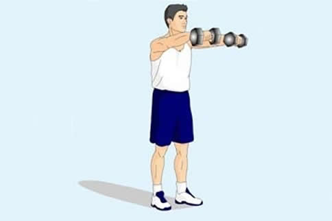 在家锻炼肌肉的方法_胸锁乳突肌锻炼_锻炼胸大肌最有效的方法