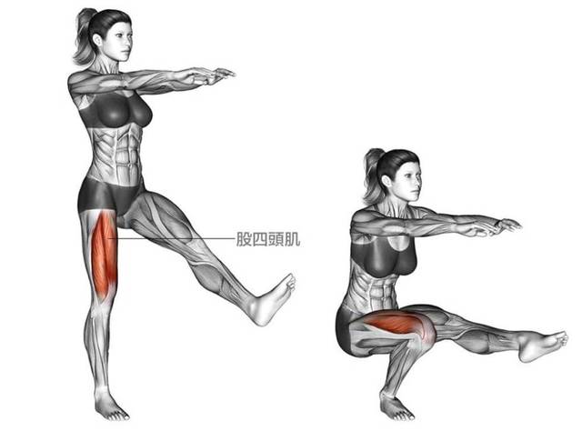 健身房臀部训练计划_臀部训练第一级_在家训练腿部臀部肌肉