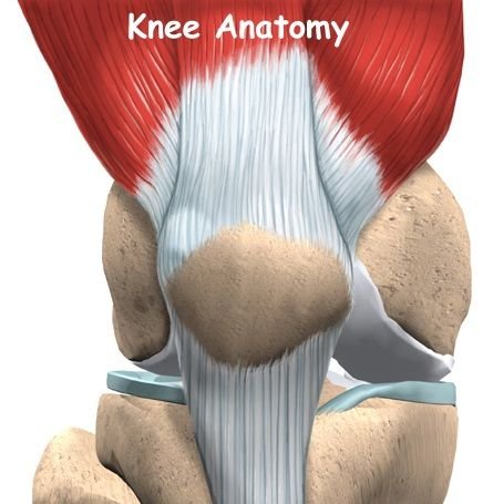 运动怎么保护膝盖_如何保护膝盖关节_保护膝盖的运动方法