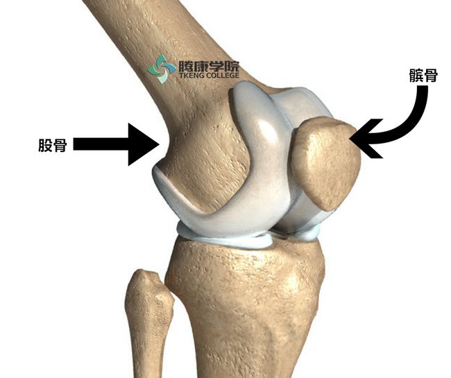 如何保护膝盖关节_运动怎么保护膝盖_保护膝盖的运动方法