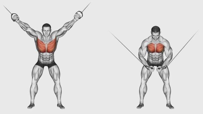 哑铃练胸肌最好的方法_练胸肌一般练几个动作_为什么胸肌都练到两边去了