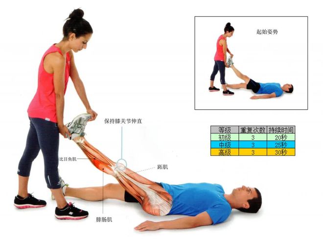 核心肌肉训练动作_臀部肌肉训练动作_小腿肌肉训练动作图片