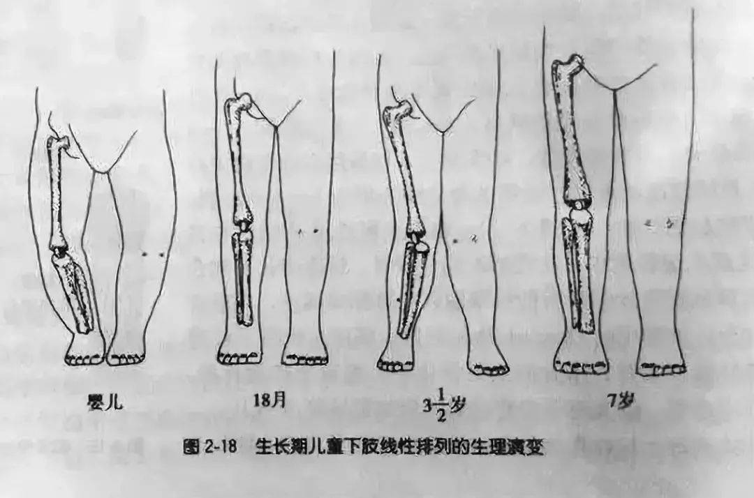 肌肉男的小丁丁长什么样_4女孩飞踹围殴2女孩_小女孩飞快长肌肉