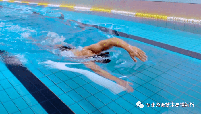 游泳时身体的发力部位_游泳主要靠什么发力_游泳时你发力部位
