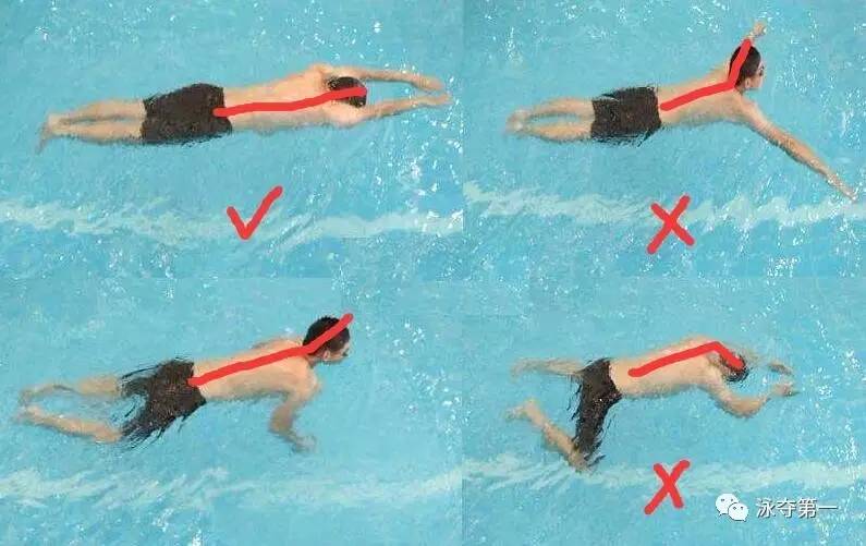 自由泳发力部位_蝶泳发力部位顺序_游泳时身体的发力部位