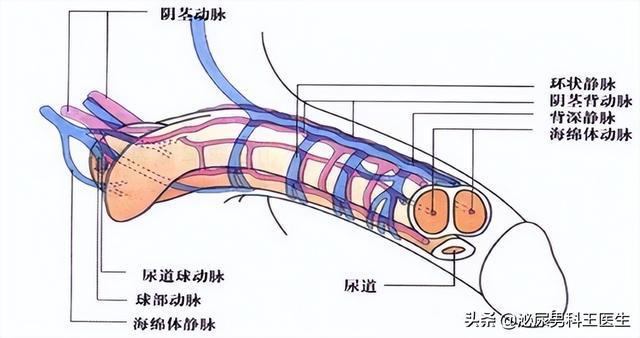 持久锻炼脱敏方法_持久的锻炼意思是_实体倒模可以锻炼持久吗