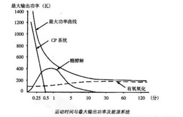 走路是有氧运动吗_dnf走路剑有残影是怎么弄的_运动后过量氧耗和氧亏