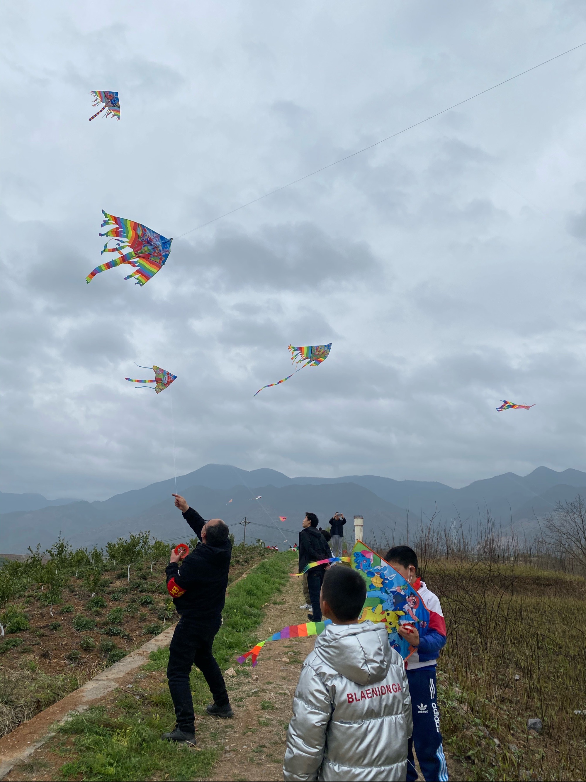 小孩子的风筝图片大全_小朋友们放风筝的图片_放飞的风筝的伤感图片