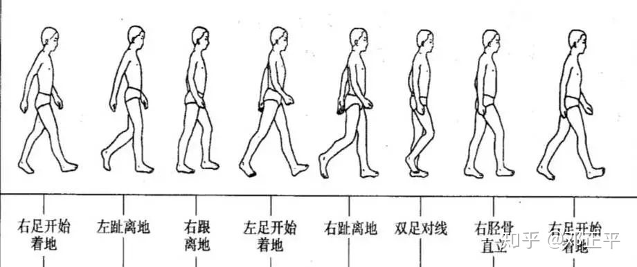 来伊份(阜阳万达步行街店)怎么样_二息步行来在哪个游戏_徒步行走最好通过摆臂来平衡身体