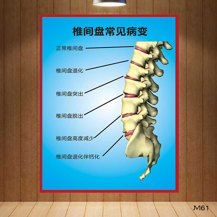 腰部肌肉锻炼方法图解_腰部肌肉僵硬锻炼方法_健身房腰部锻炼方法