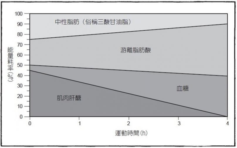 有氧运动需要天天做吗_膜法制氧富氧燃烧需要什么设备_运动后血氧低于90正常吗